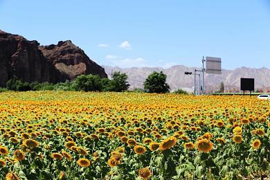 《街头霸王6》比赛春丽清凉Mod后续 主办方的失误与选手无关