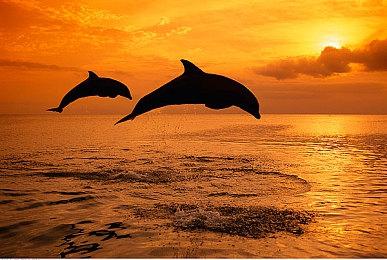 《巫师3》模型替换Mod 杰洛特叶奈法变电视剧形象