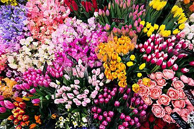 BL奇幻作品《祭品小镇 彩结》Steam页面上线 5月22日推出